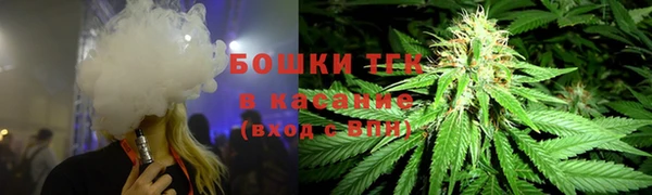гидра Арсеньев