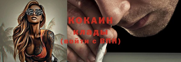 гидра Арсеньев