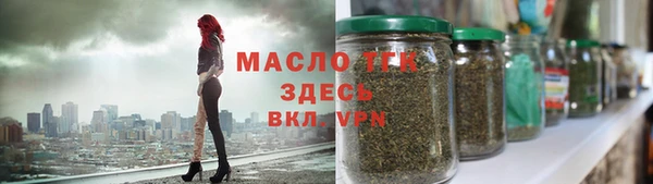 гидра Арсеньев