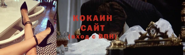 гидра Арсеньев