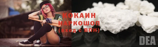 гидра Арсеньев