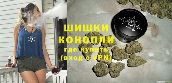 гидра Арсеньев