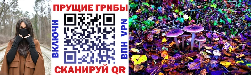 Псилоцибиновые грибы прущие грибы  MEGA маркетплейс  Вихоревка 